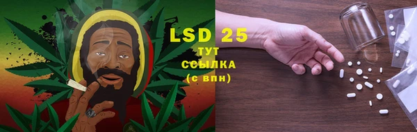 ешки Вуктыл