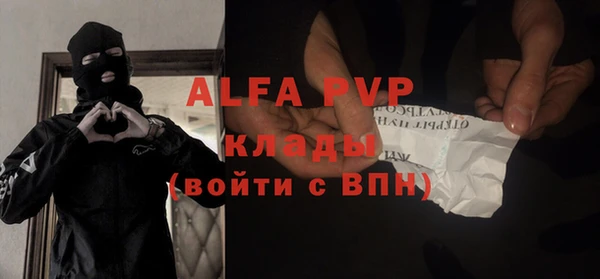 сатива Корсаков