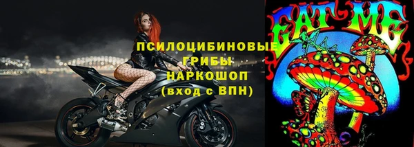 сатива Корсаков