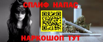 МДПВ Партизанск
