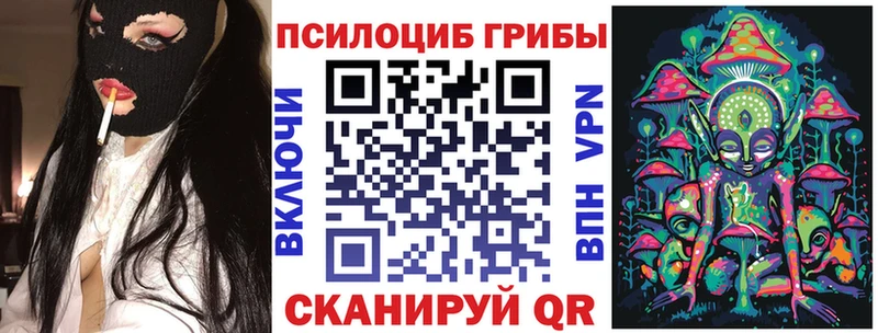 мориарти официальный сайт Курганинск Псилоцибиновые грибы Psilocybine cubensis