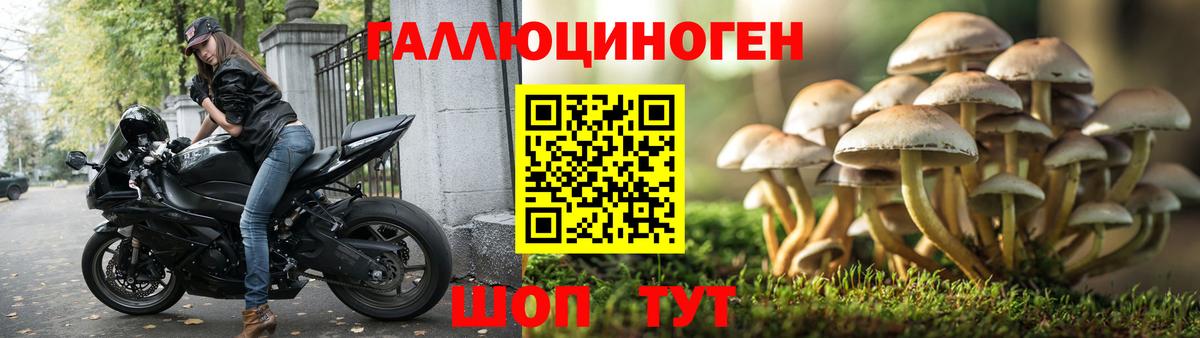 Курганинск  Псилоцибиновые грибы мицелий  Вход с VPN 